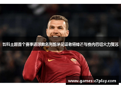 哲科土超首个赛季进球数名列前茅见证老将锋芒与费内巴切火力复苏